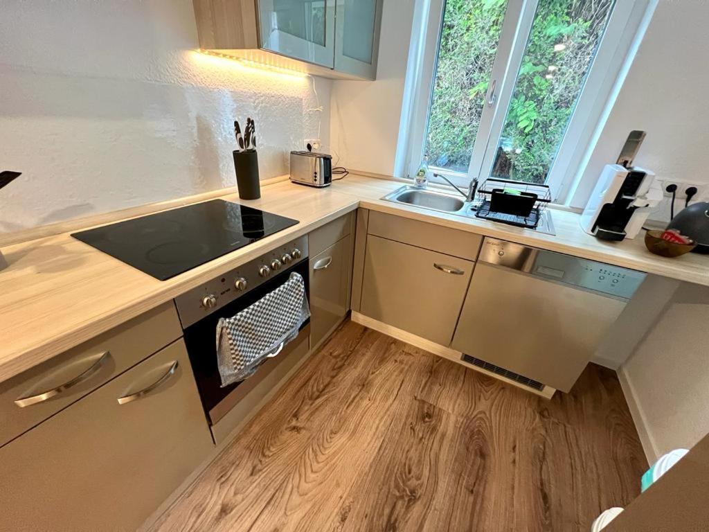 Exklusive Neubauwohnung Mit Wundervoller Aussicht Naehe Europapark Und Rulantica Burgheim Exteriör bild